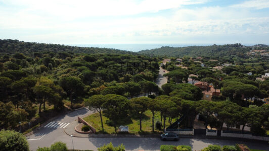DJI_08952525.jpg