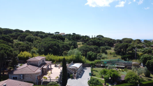 DJI_09381454-1.jpg