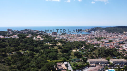 DJI_09435587-1.jpg