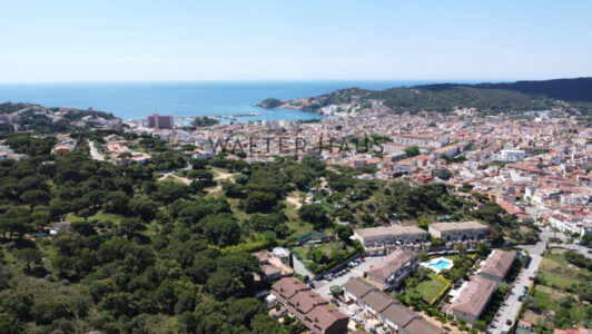 DJI_09449636-1.jpg
