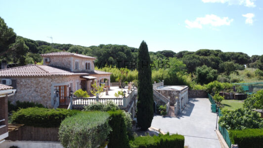 DJI_0954665-1.jpg