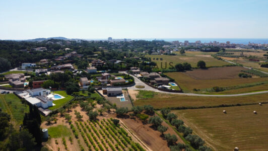 DJI_09855522-12.jpg
