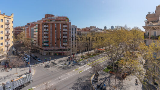 DSC01417-HDR8600.jpg