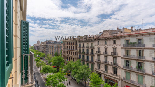 DSC06175-HDR3534.jpg