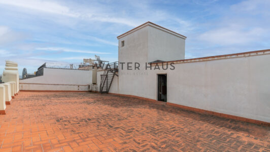 DSC08087-Editar6031-1.jpg