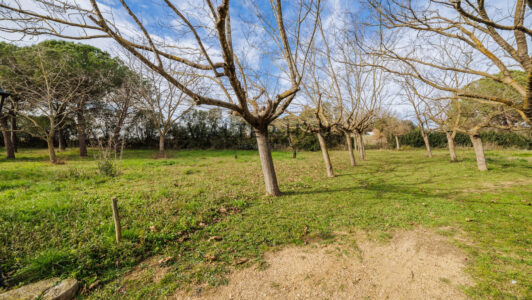Masia20CorC3A7C3A020-2000306333.jpg