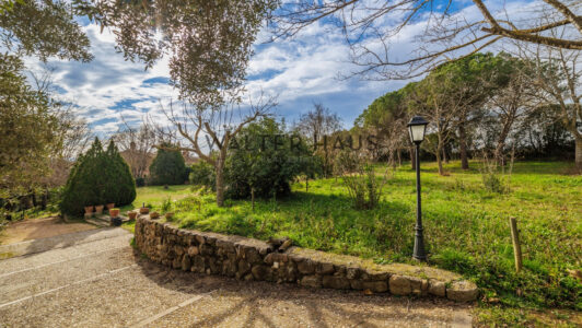 Masia20CorC3A7C3A020-2000316711.jpg