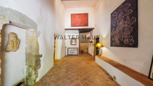 Masia20en20Parlava20-2000113784-4.jpg
