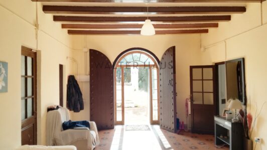 entrada28168.jpg