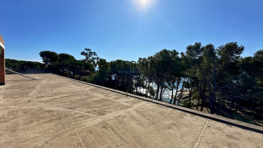 019Photo20447895947-1.jpg