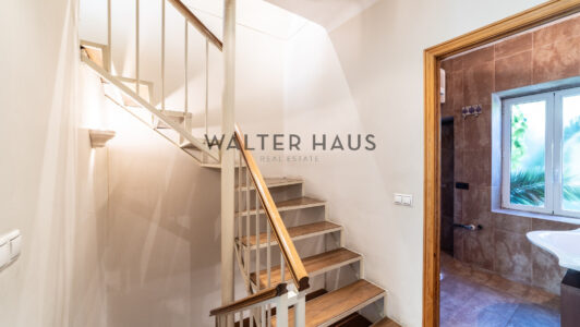 52A11357847-4.jpg