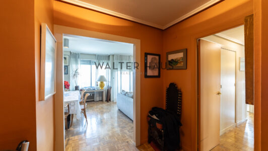 52A11651610-3.jpg