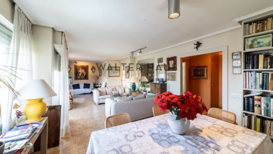 52A11835031-3.jpg