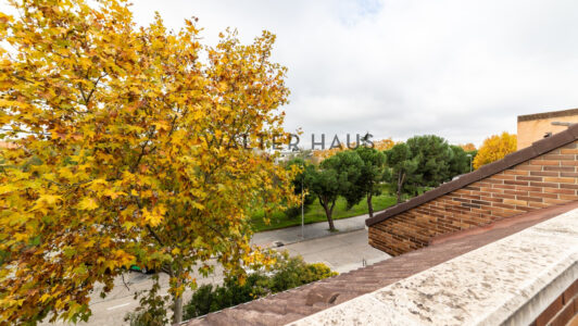 52A35204146-2.jpg