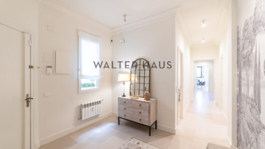 52A46744170-4.jpg