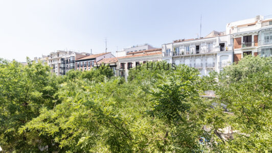 52A91312142-1.jpg