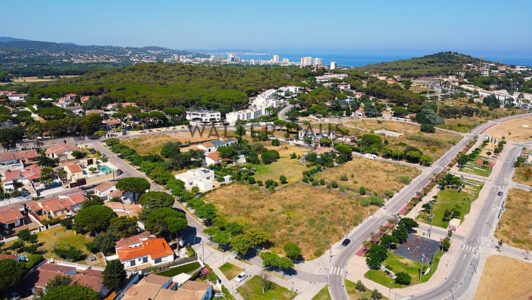 DJI_008420edit7716-7.jpg