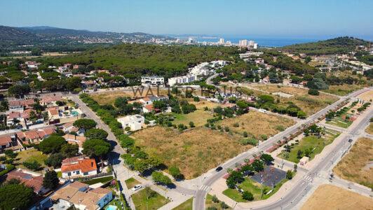 DJI_008520edit541-5.jpg