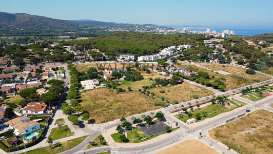 DJI_008720edit9379-6.jpg