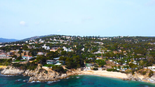 DJI_01077734.jpg