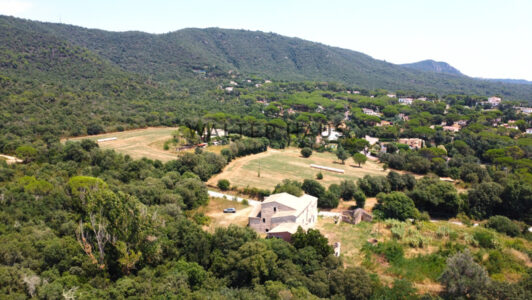 DJI_01258426-2.jpg
