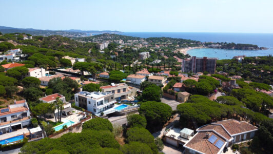 DJI_01578975-1.jpg