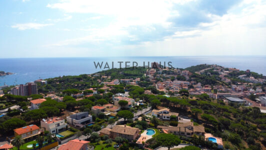 DJI_02047051-10.jpg