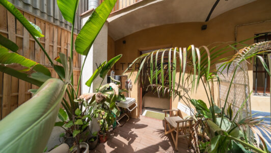 DSC05593-HDR2522-1.jpg