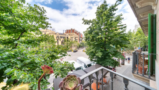 DSC05609-HDR7786-1.jpg