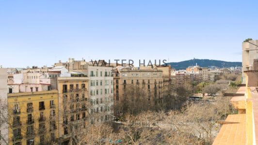 Miguel_Passeig20Sant20Joan2036_091941-2.jpg
