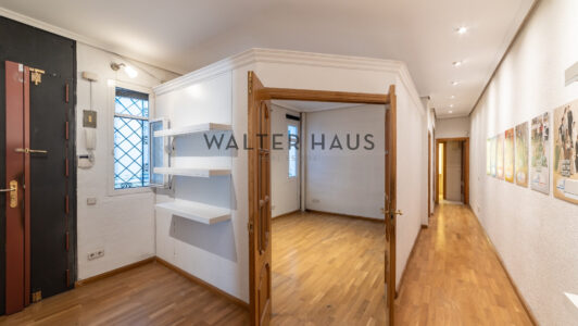 52A07427005-2.jpg