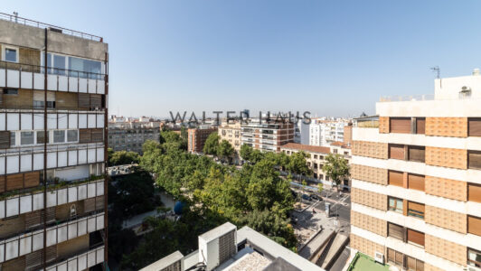 52A08507067-4.jpg
