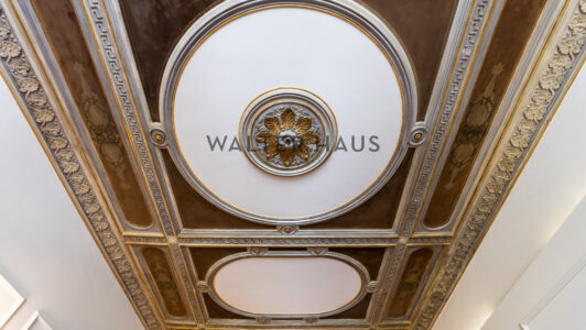 8.Techo-ceiling1352.jpg