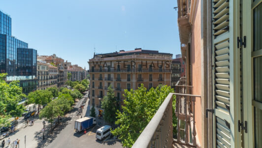 DSC02162-HDR5480-2.jpg