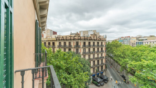 DSC04543-HDR9892.jpg