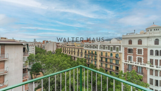 DSC06930-HDR479-1.jpg