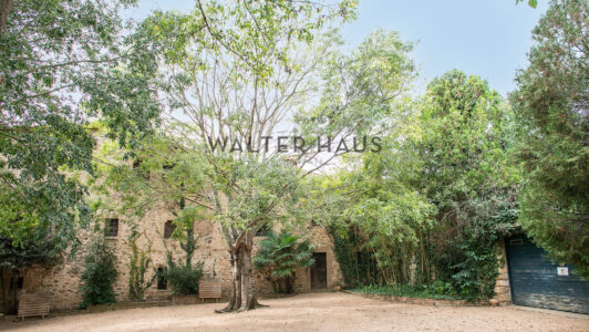 2G8A186420copia7447.jpg