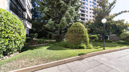 52A01174496-1.jpg