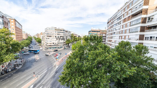 52A1314-HDR2054-2.jpg