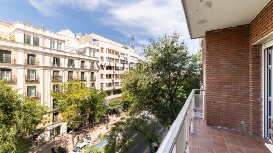 52A13483206-3.jpg