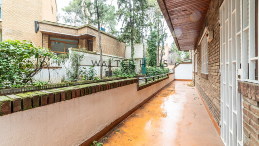 52A97255843-2.jpg