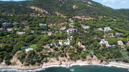 DJI_03036205.jpg