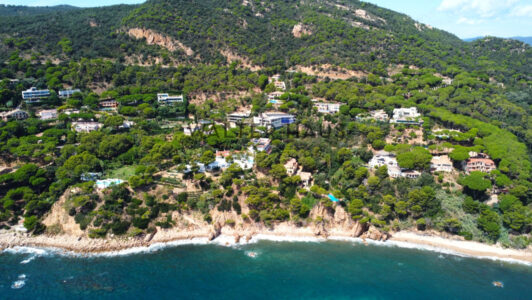 DJI_03058808-3.jpg