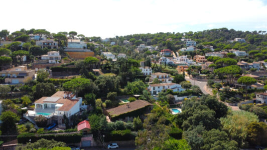 DJI_03129008-1.jpg