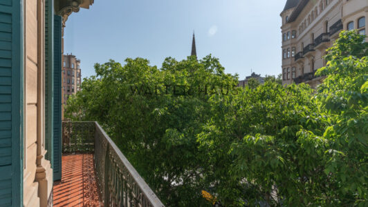 DSC058593331.jpg
