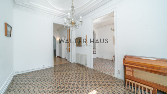 DSC08365-Editar8715-3.jpg