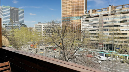 Photo2019356-2.jpg