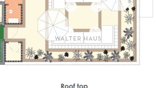 ROOFTOP1919.jpg