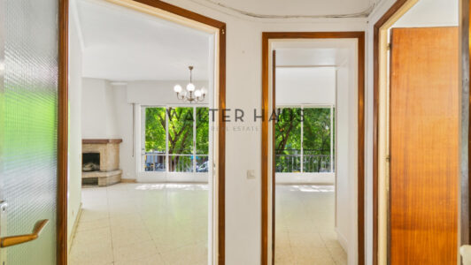WalterHaus_General20Mitre20195_143267-3.jpg