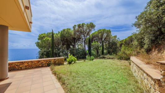 casa20superior20-2000028824-5.jpg